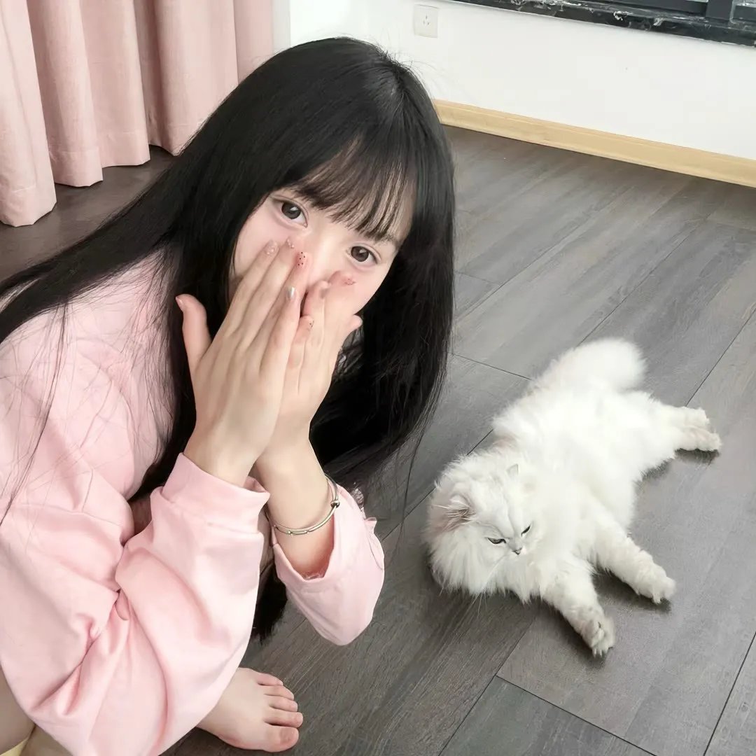 飞越十八层粤语